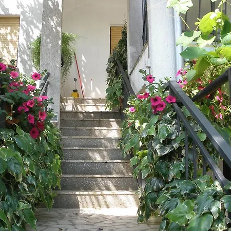 Apartments Timi Poreč Exterior foto