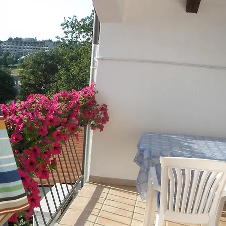 Apartments Timi Poreč Exterior foto