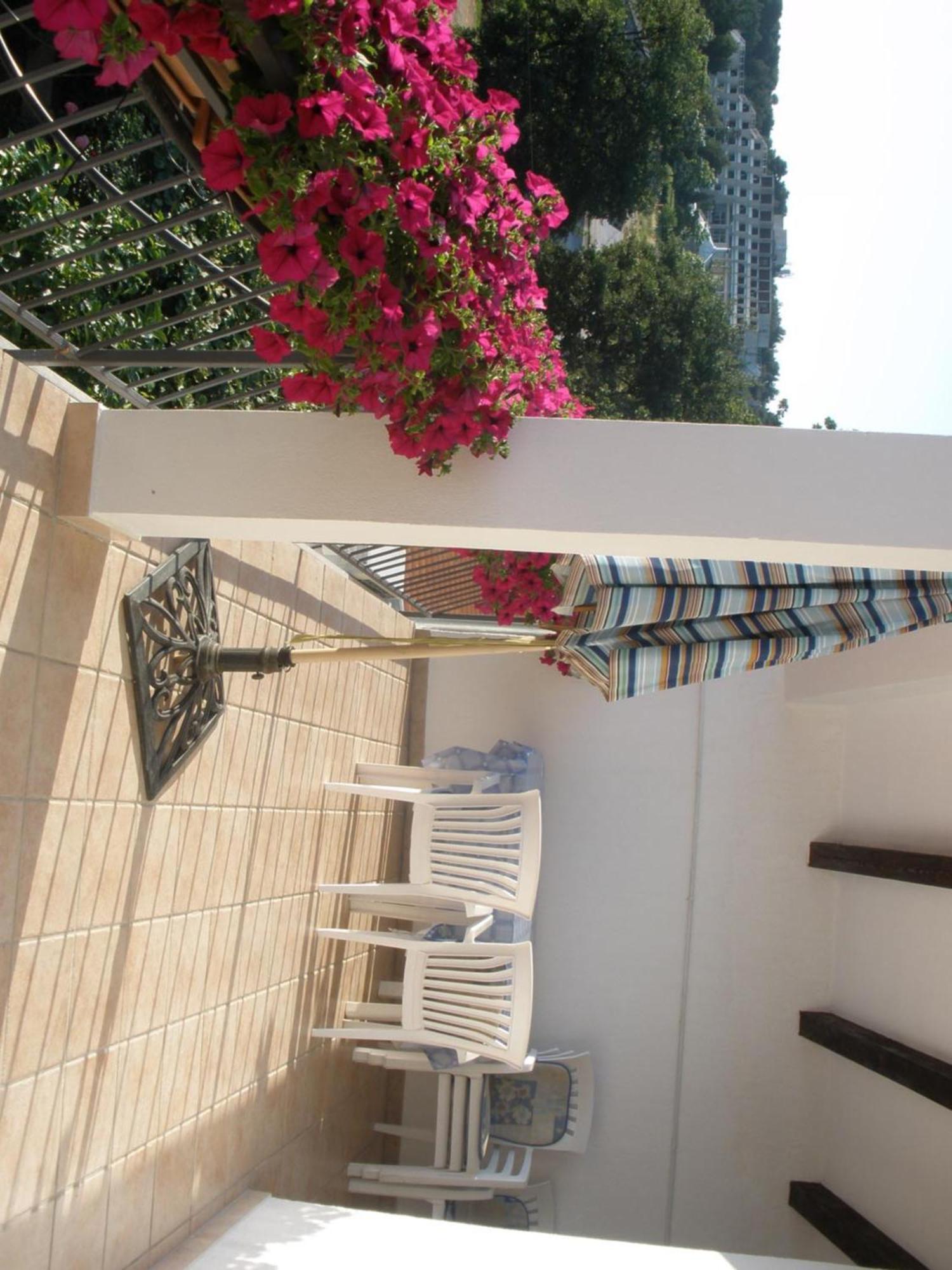 Timi Apartament