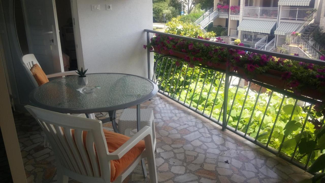Apartment Timi